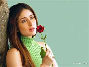flower like rose