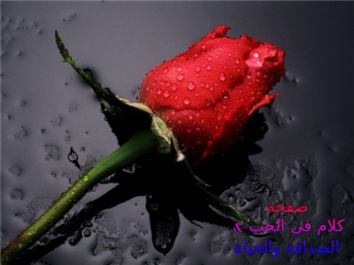 هدية مواليد شهر جويلية