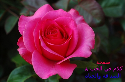 هدية مواليد شهر مارس
