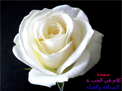 هدية مواليد شهر نوفمبر