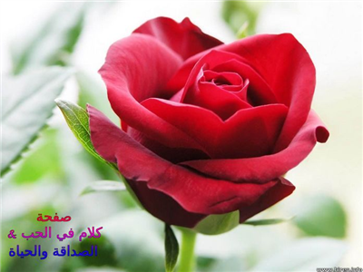 هدية مواليد شهر أفريل