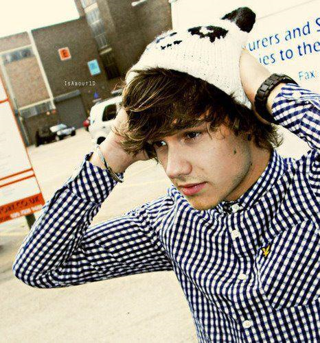 Liam Payneyi Ne Kadar Tanıyorsun