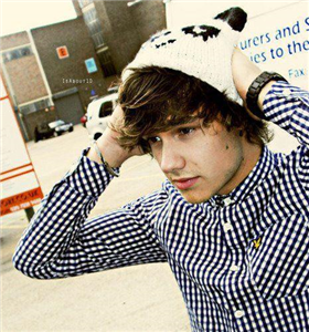 Liam Payneyi Ne Kadar Tanıyorsun