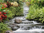 Nature  Gifts For Your Friends