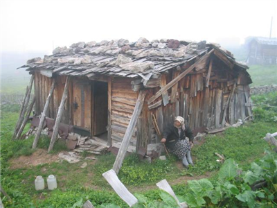 Özgür Doğa