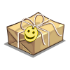 Care Package
