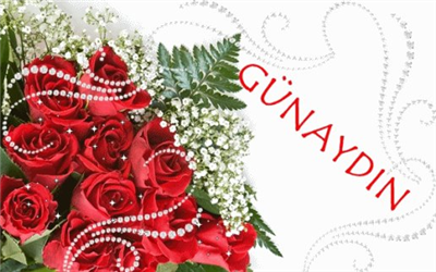 GÜNAYDIN