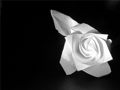 Rosa de papel