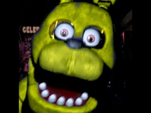 Golden Ivan Bonnie