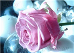 __Aras__