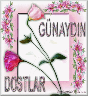 GÜNAYDIN