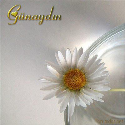 GÜNAYDIN