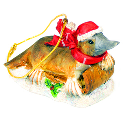 Platypus Ornament