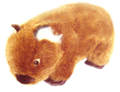 Wombat