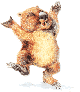 Happy Wombat