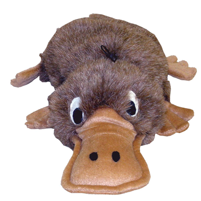 Platypus