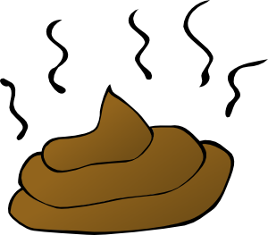 Dingo Droppings