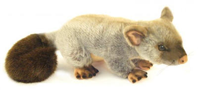 Possum