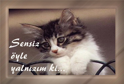 sensiz öyle yalnızım ki