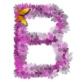 B