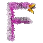 F
