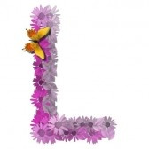 L