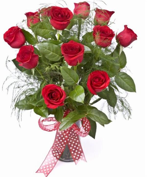 Valentines 12 Red Roses