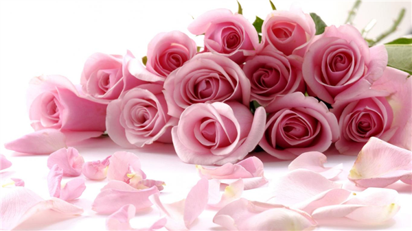 Roses