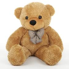 Teddy