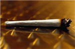 Joint