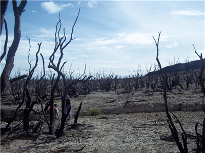 Papandayan