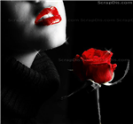 Le Cercle Beautiful Rose