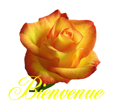 Bienvenue
