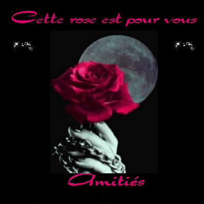 Cette rose est pour vous Amitié