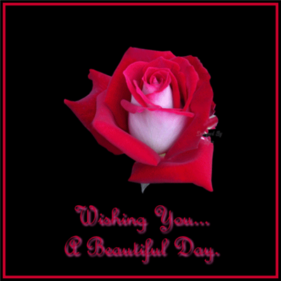 Wishing You 