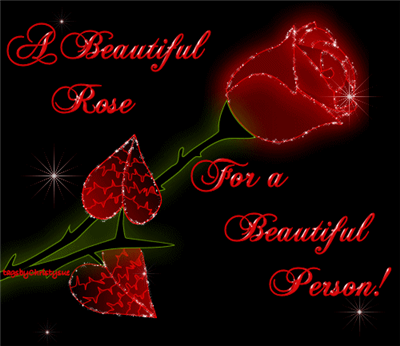 Beautiful Rose