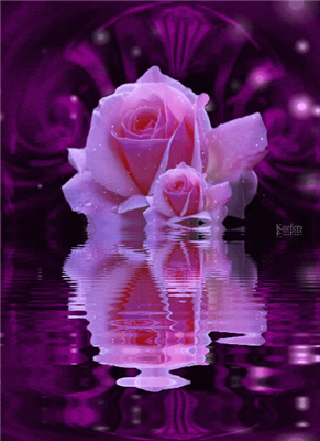 Plaisir d'offrir