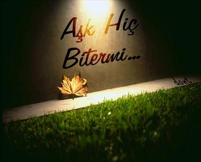 Aşk Mı? Sevgi Mi?