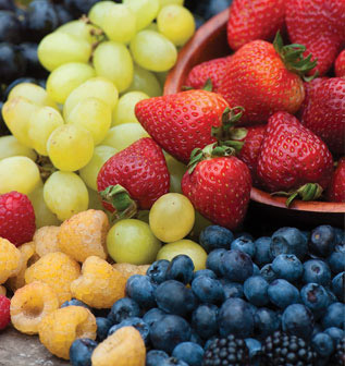 fruits
