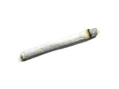 Joint