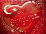 Arslan