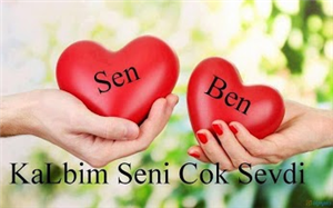 Seni Kim Seviyor