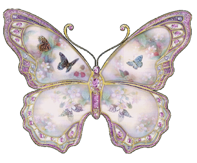 Old Fashion Butterfly