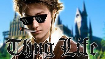 Thug life potter