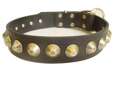 Dog Collar