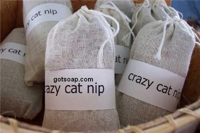 Cat Nip Bag