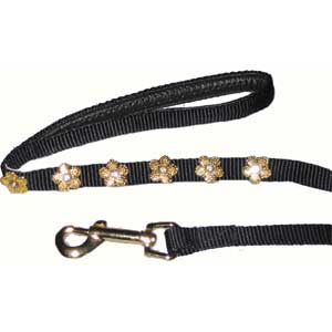 Dog Leash