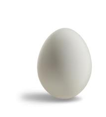 An egg