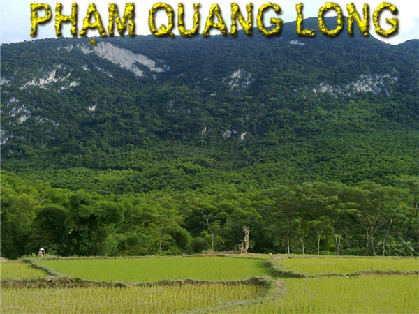 Khoay Men
