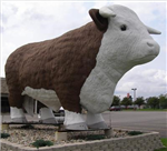 Childhood Memory From Nwi